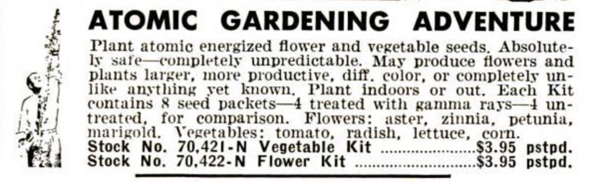 Old 1961 magazine clipping for "atomic gardening adventure"