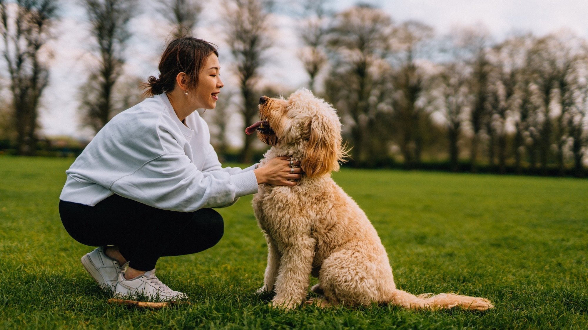 Female pet owner petting her dog on meadow. Healthy lifestyle with pet. Wellbeing and emotional support. Dog training concept.