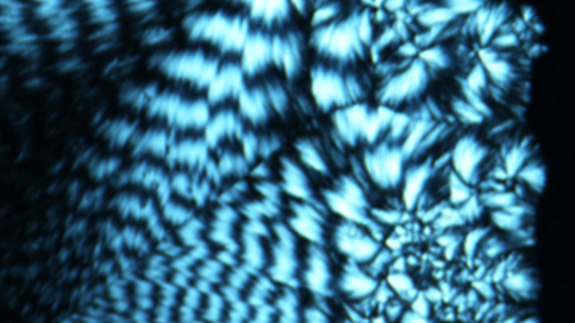 bright strands of DNA