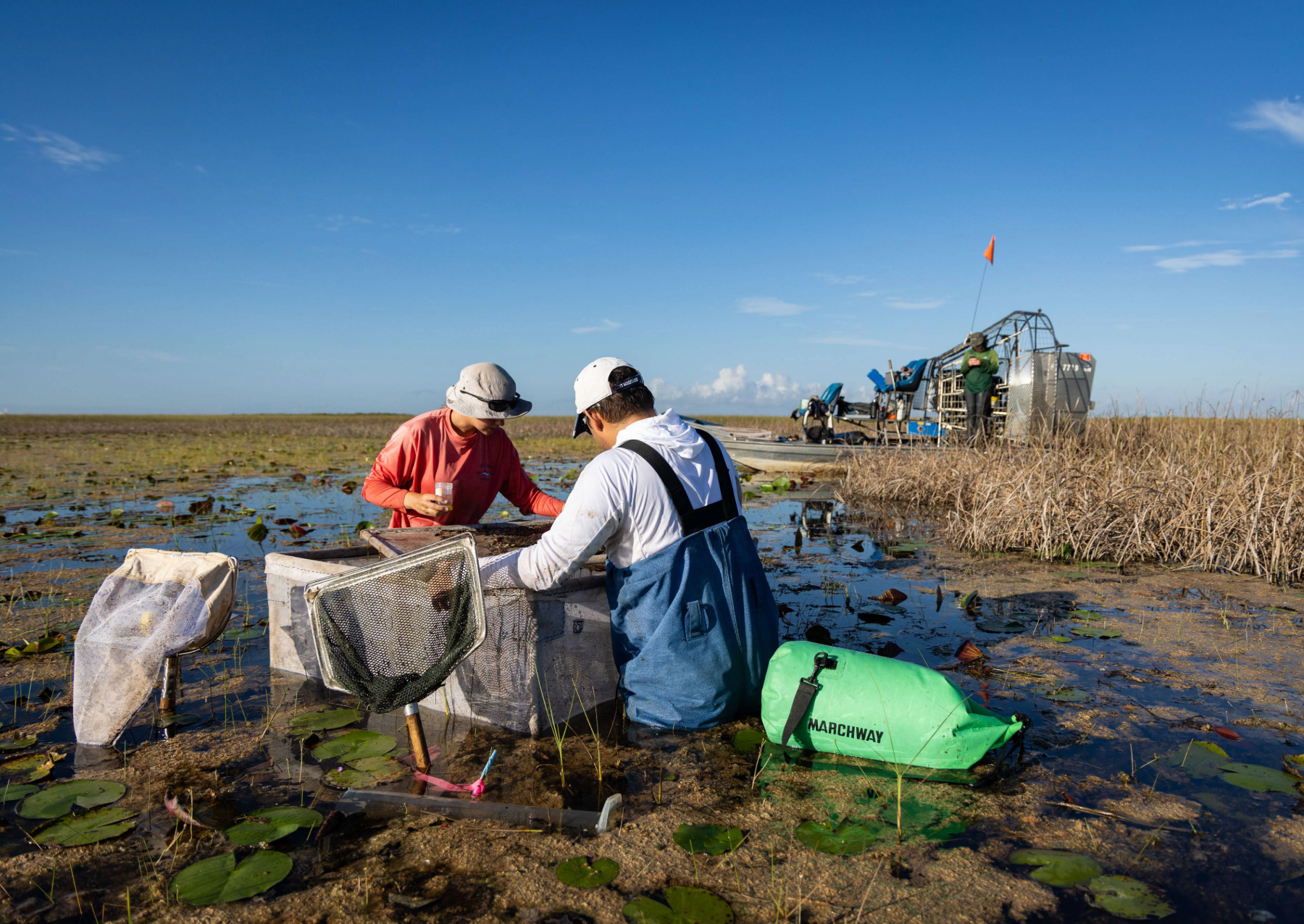 two scientists stand in a swamp with nets and other measuring equiptment while one stands on an airboat