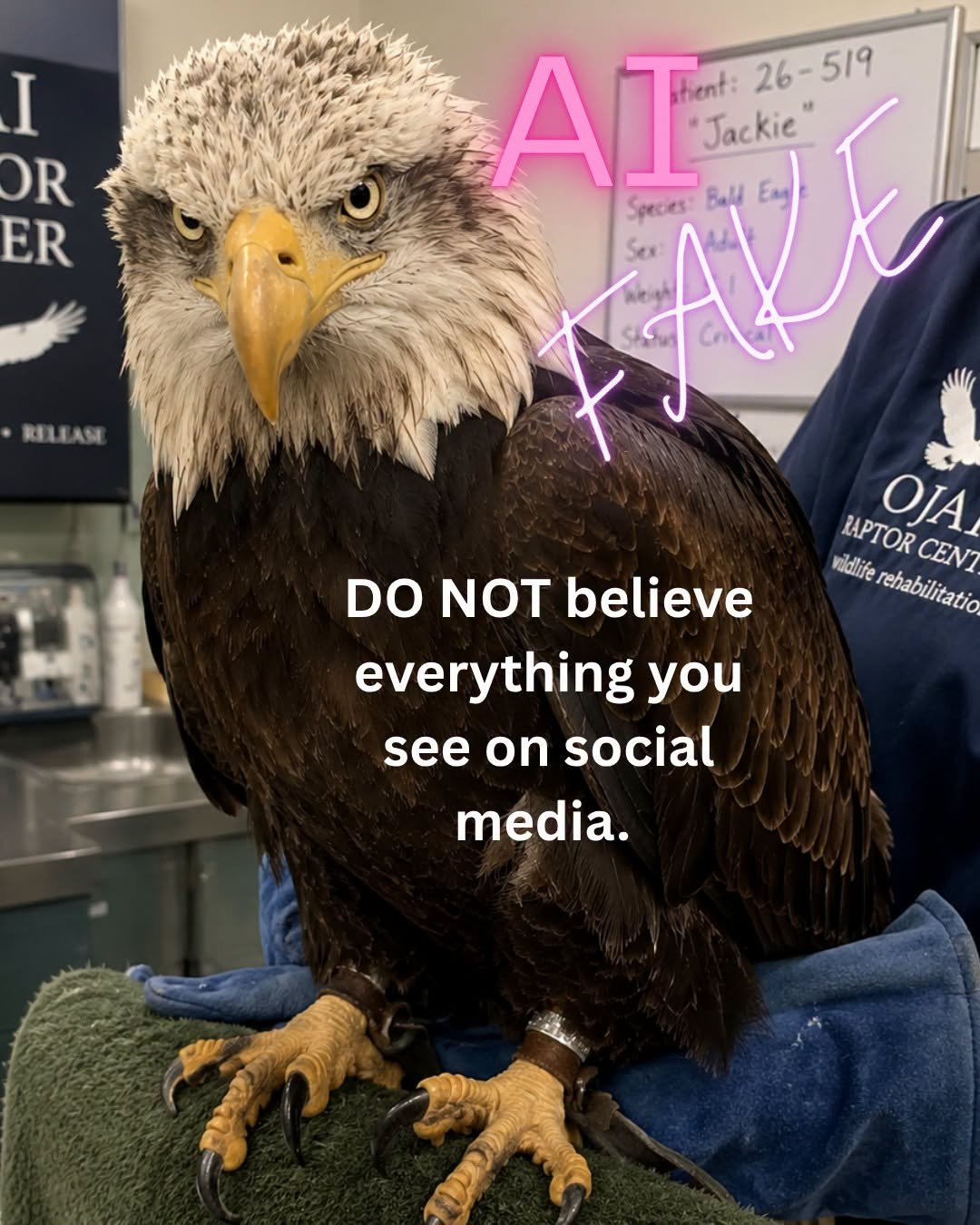 a fake image of an eagle in a vet's office