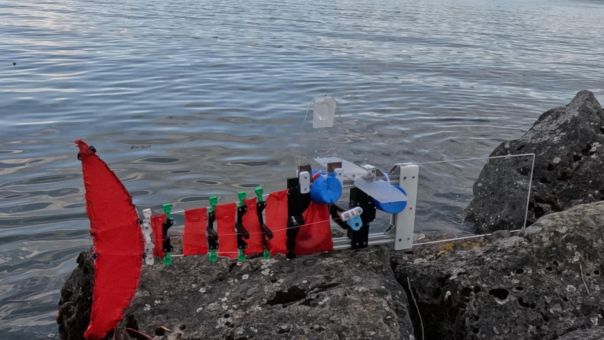 Scalable robot fish can easily swim in a creek or lake