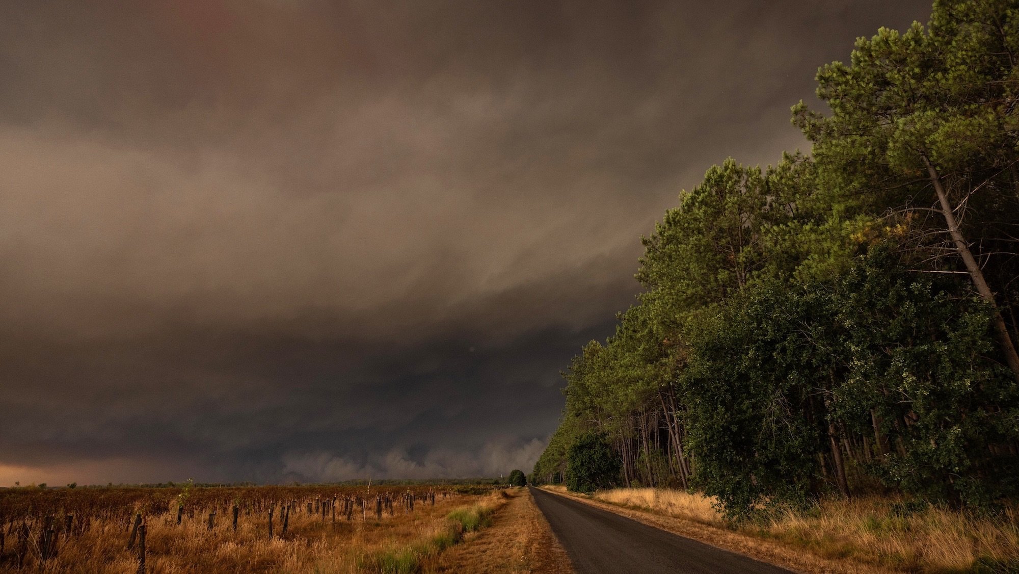 Saumos (33), July 24, 2026: Fire in the Temple and Saumos area of Gironde; the smoke cloud creates an apocalyptic atmosphere at night in broad daylight above the forest.