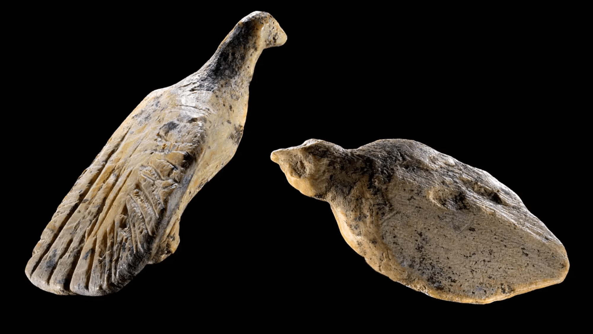 Two bird figurines carved from ivory found at the site of Hohle Fels Cave, approximately 40,000 years old.
