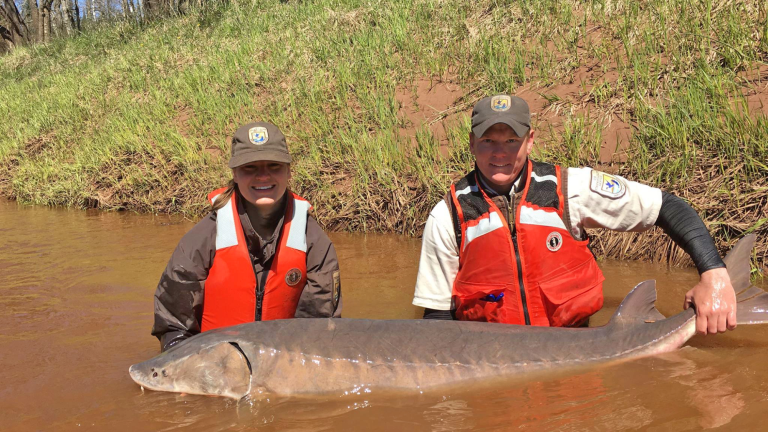 two men with orange life jackets on in a river holding a large gray fish