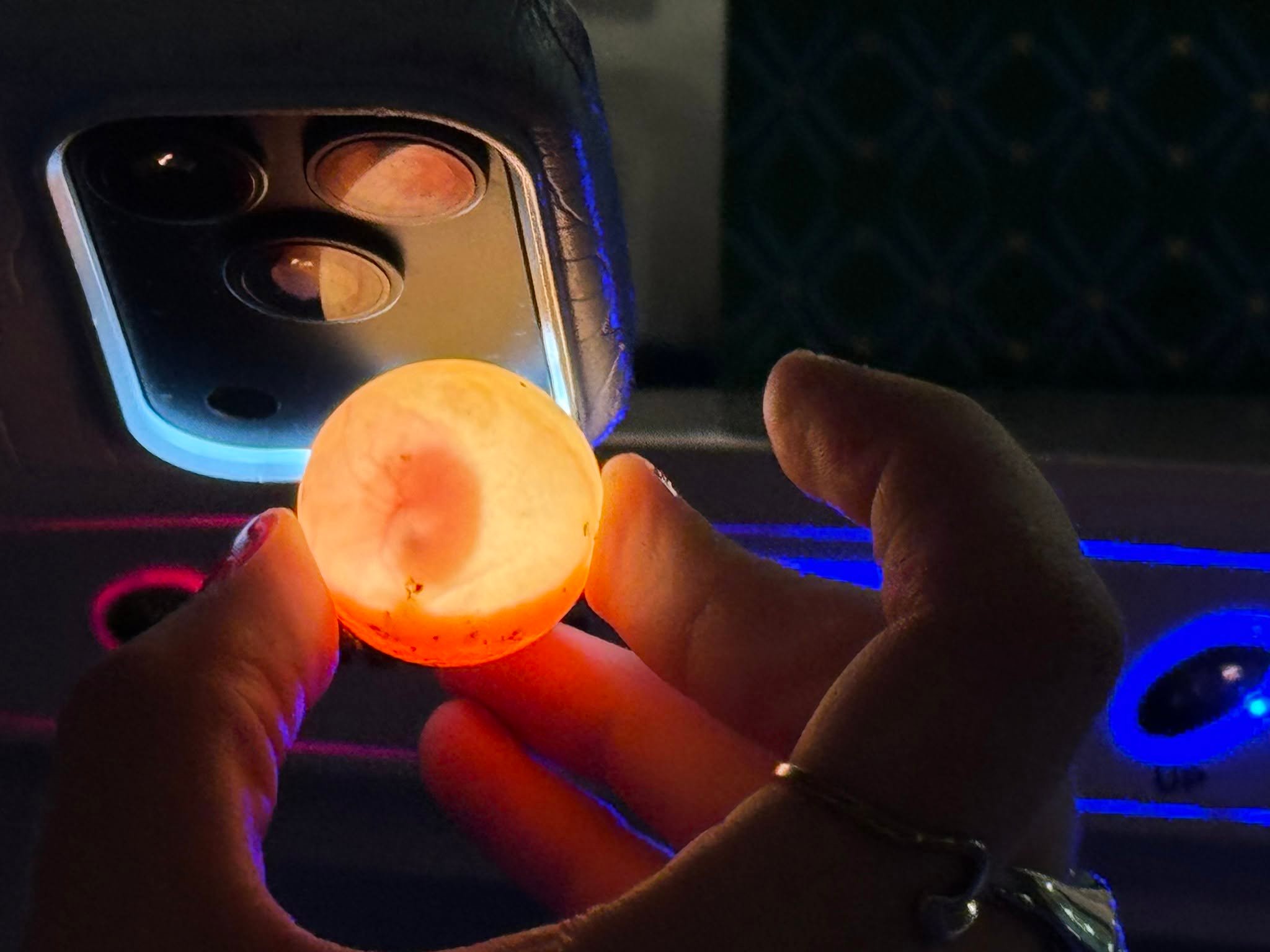 a light shined through a round turtle egg