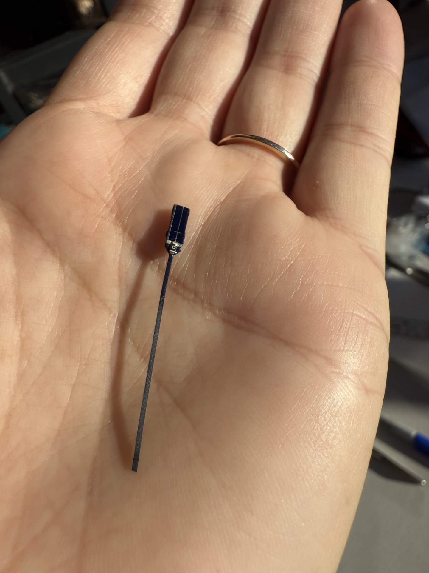 a scientists holds a long, thin radio transmitter in her hand