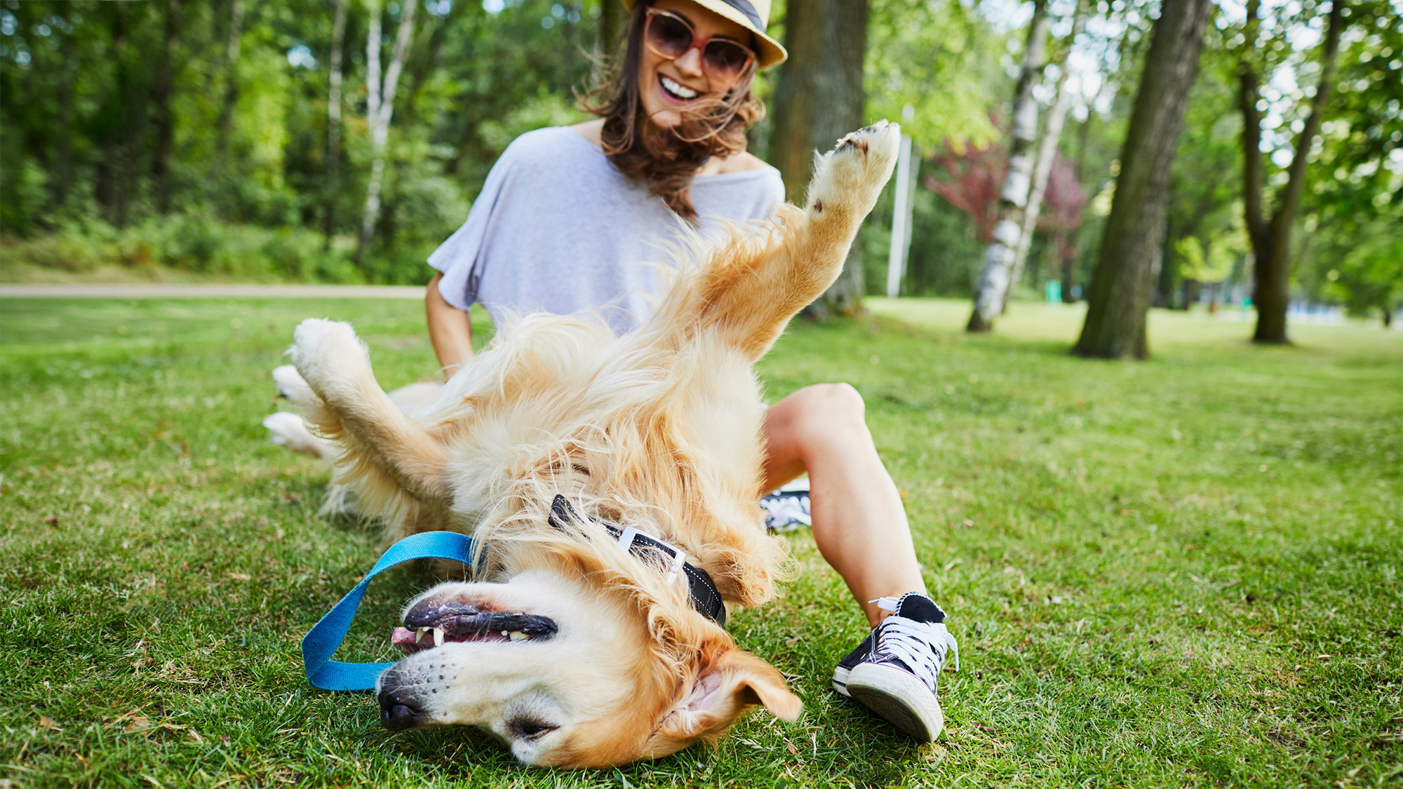 popsci.com - Jennifer Byrne - Why do dogs' legs shake during pets? It's not because they like it.