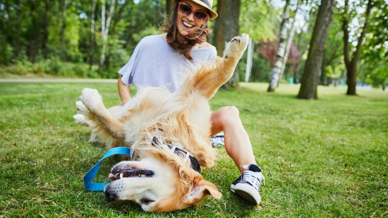 Joyful young woman playing with her golden retriever outdoors in the park