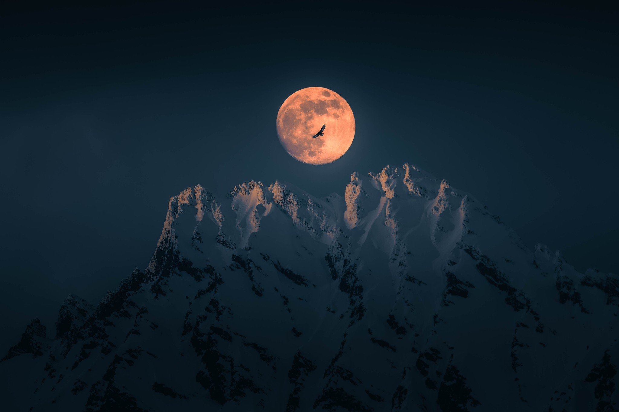 A majestic golden eagle drifts in dark silhouette across the face of the moon