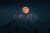 A majestic golden eagle drifts in dark silhouette across the face of the moon
