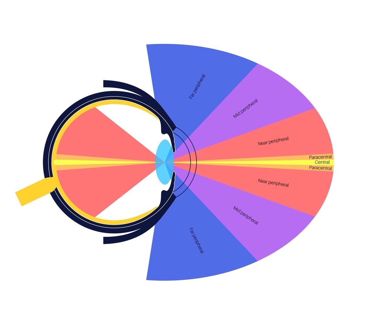 Peripheral vision infographic diagram. Indirect vision, capturing the human eye expanded field of view beyond central focus, see in low light conditions. Tunnel vision problems. Eyeball medical poster
