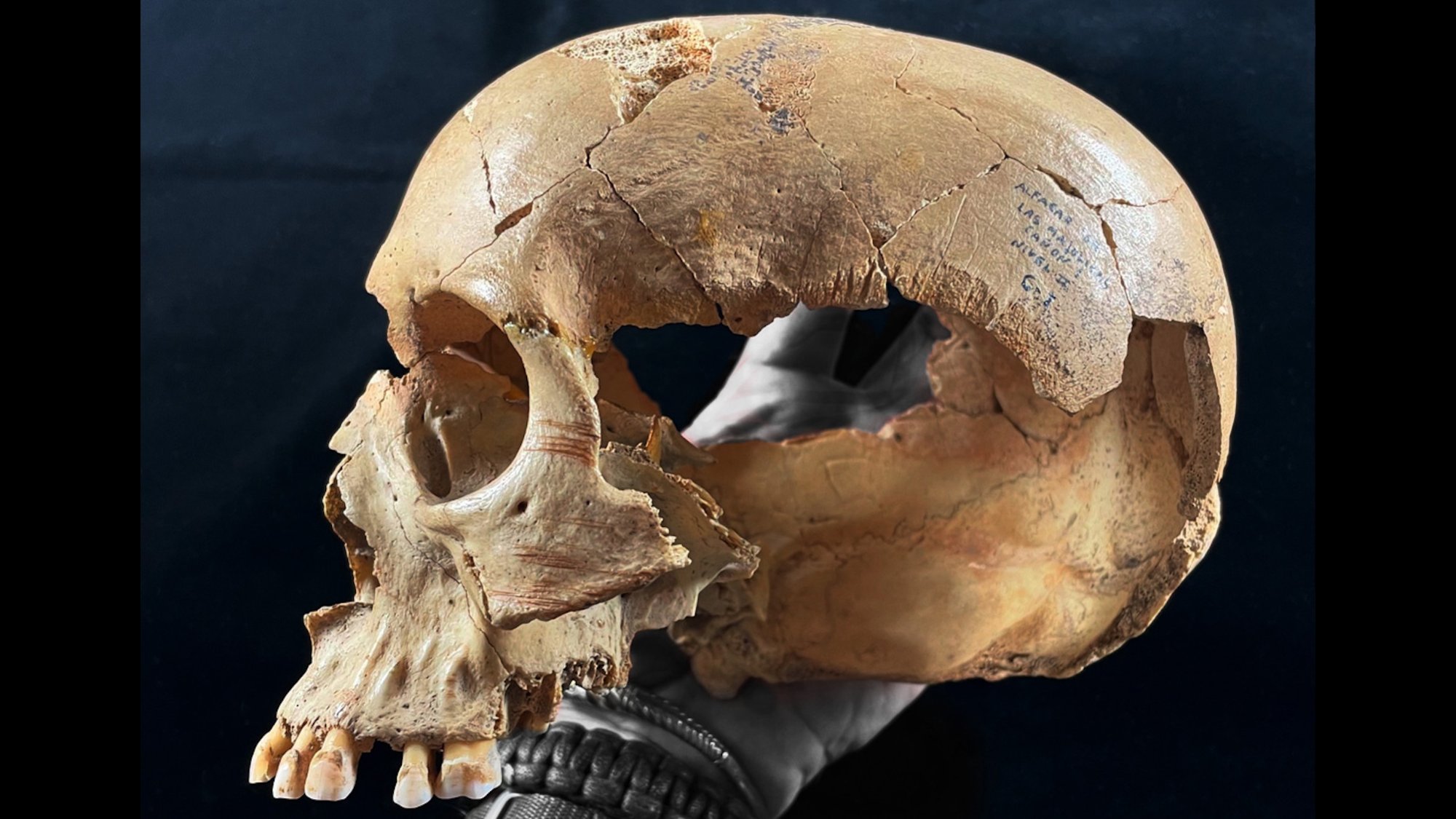 Cannibalism returned to the menu multiple times in Neolithic Europe