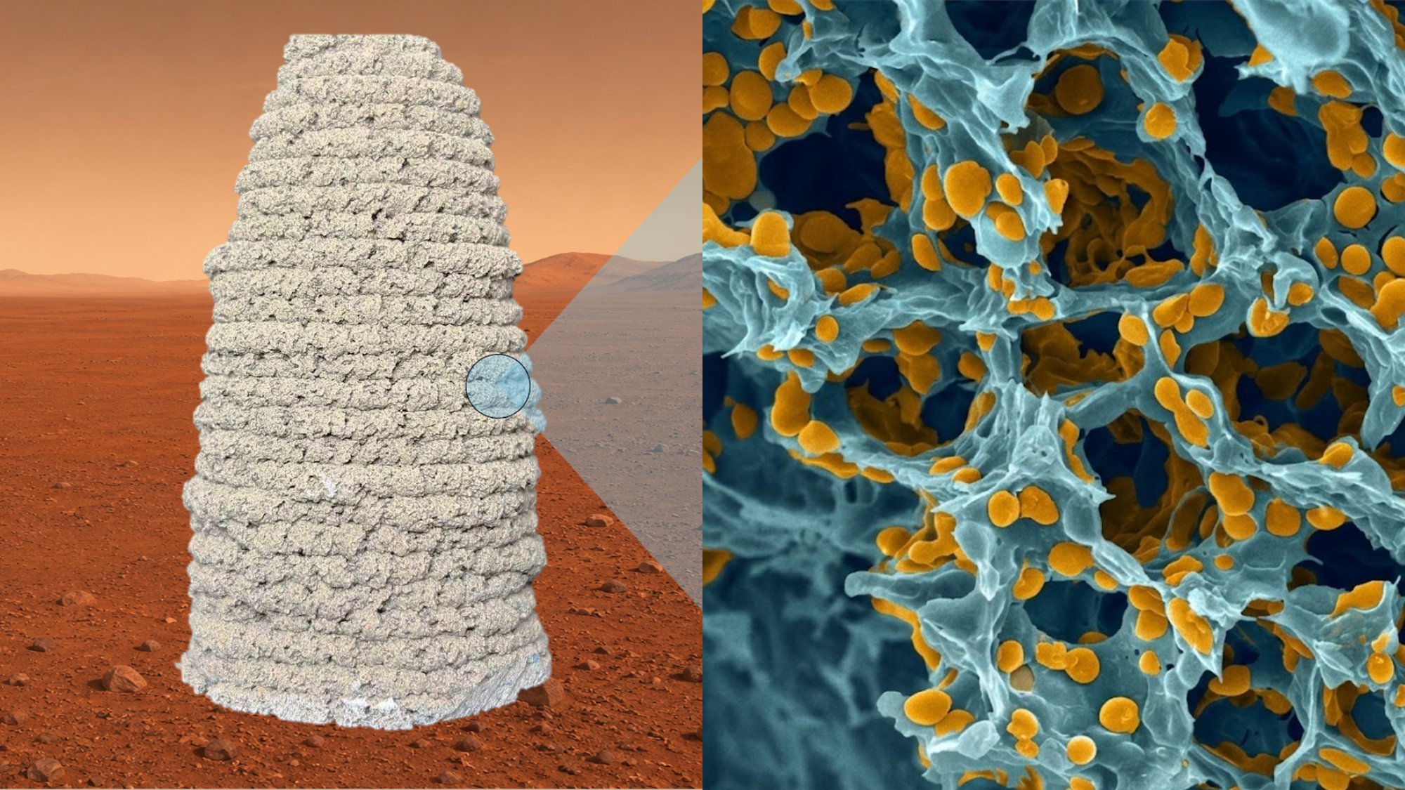 Living building material can be 3D printed under simulated Martian conditions at –30°C and 0.01 atm (left). A microscopic view reveals the material’s porous structure with polymers and engineered yeast highlighted in yellow (right).