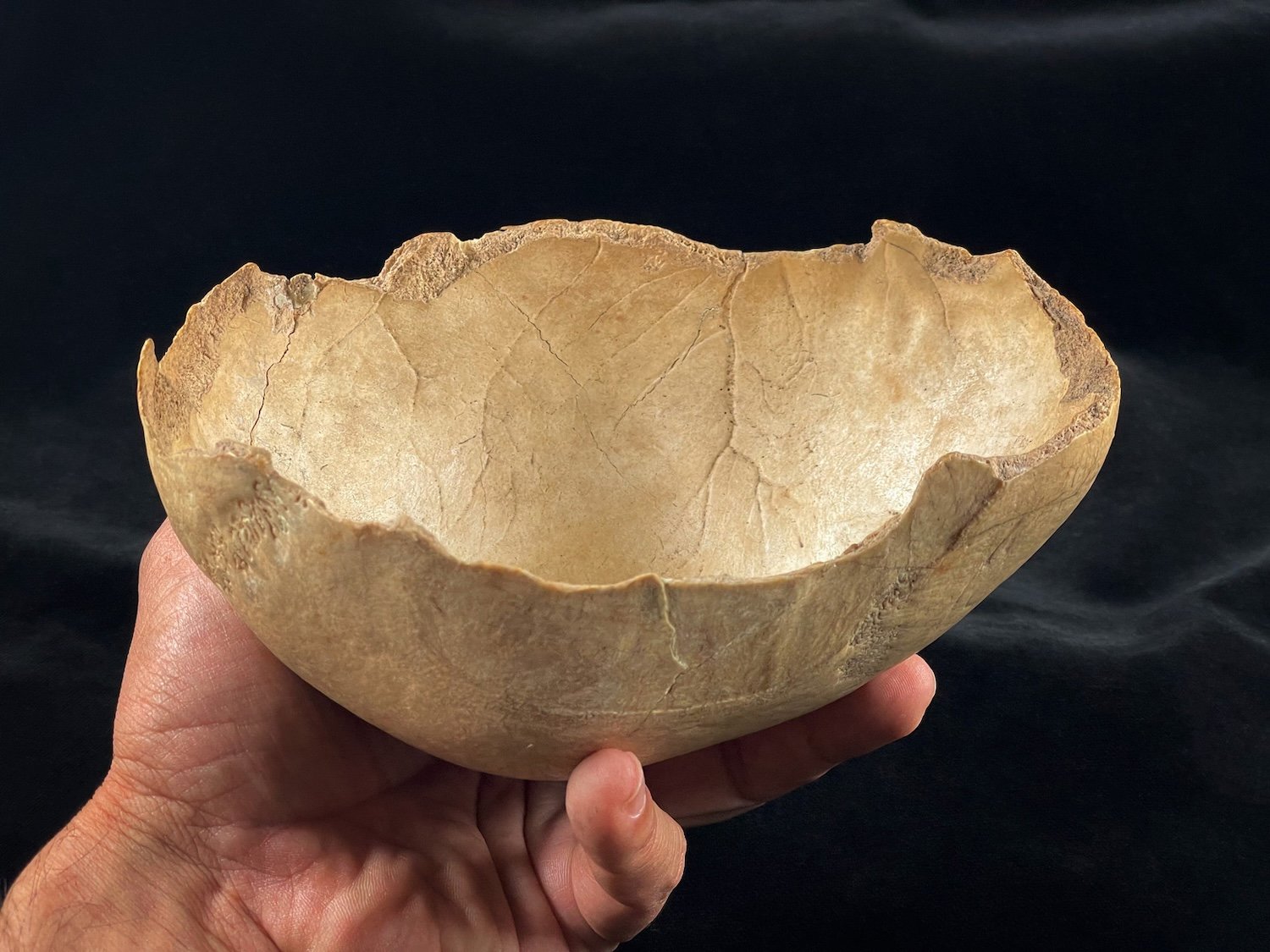 At least two Neolithic human skulls were fashioned into cups at Carigüela cave in Granada. Credit: Antonio Rodríguez-