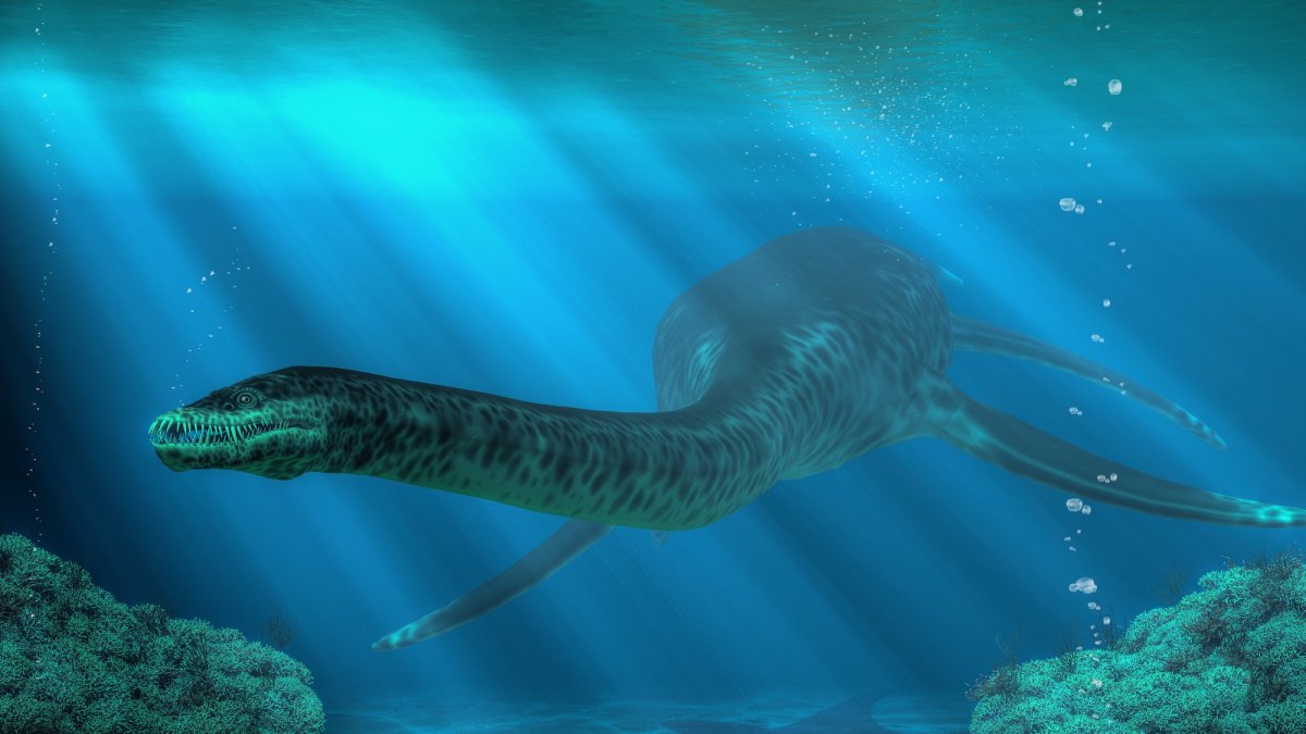 Plesiosaurs vomited indigestible pellets like owls