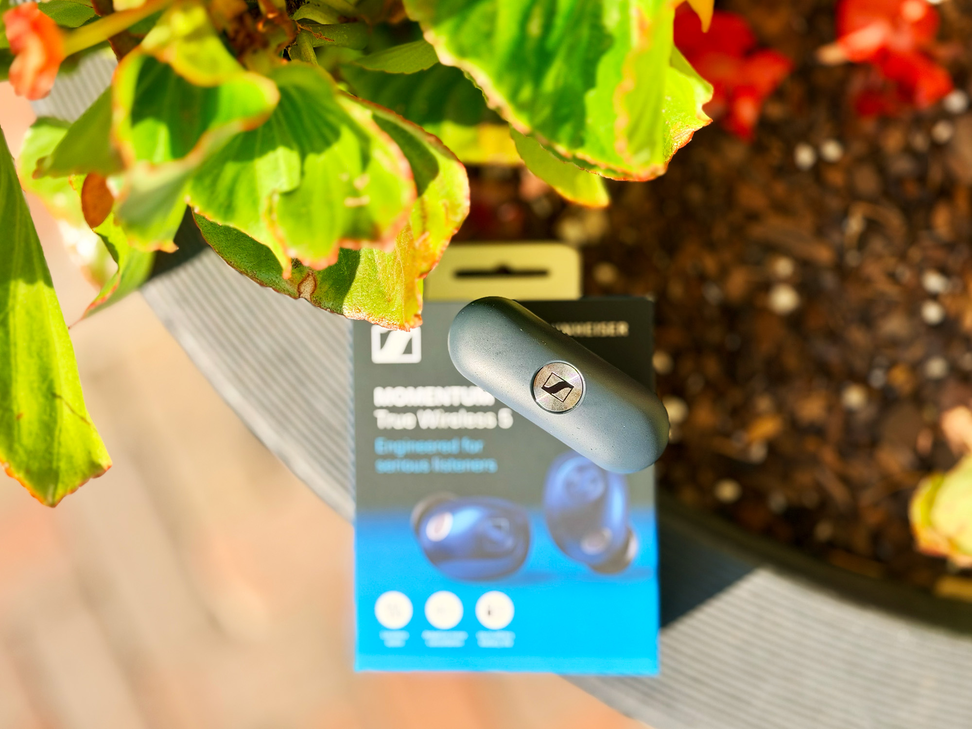 Sennheiser MOMENTUM True Wireless 5 review: Enjoyable by default