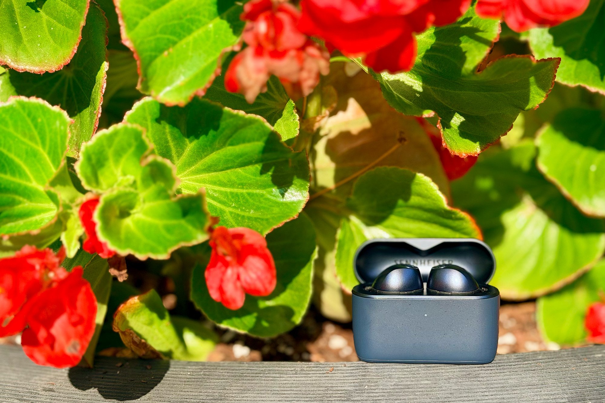 The Sennheiser MTW5 earbuds + case on a planter