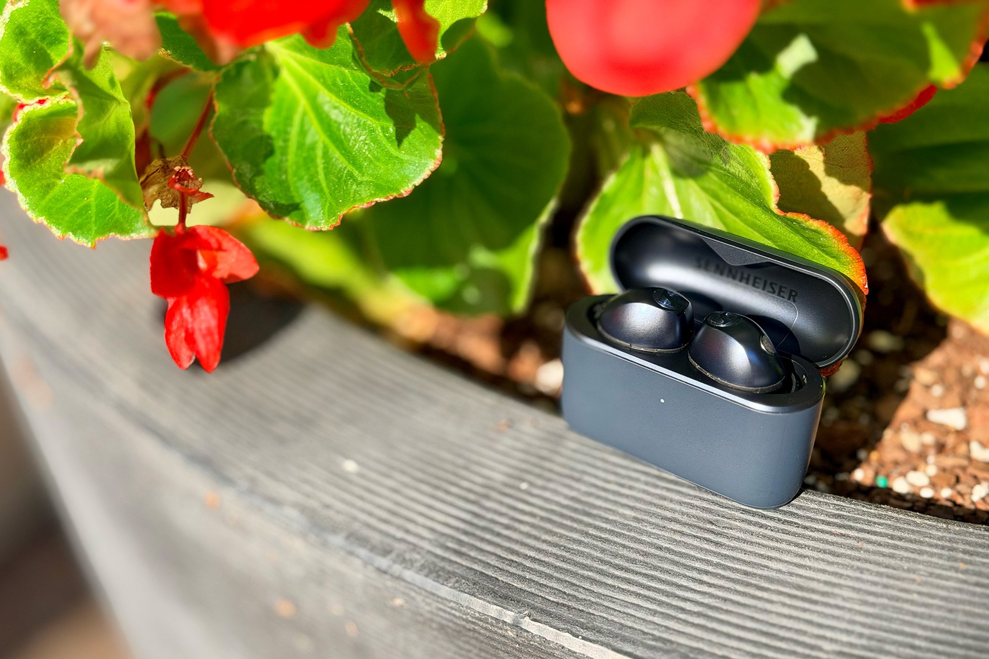 The Sennheiser MTW5 earbuds + case on a planter