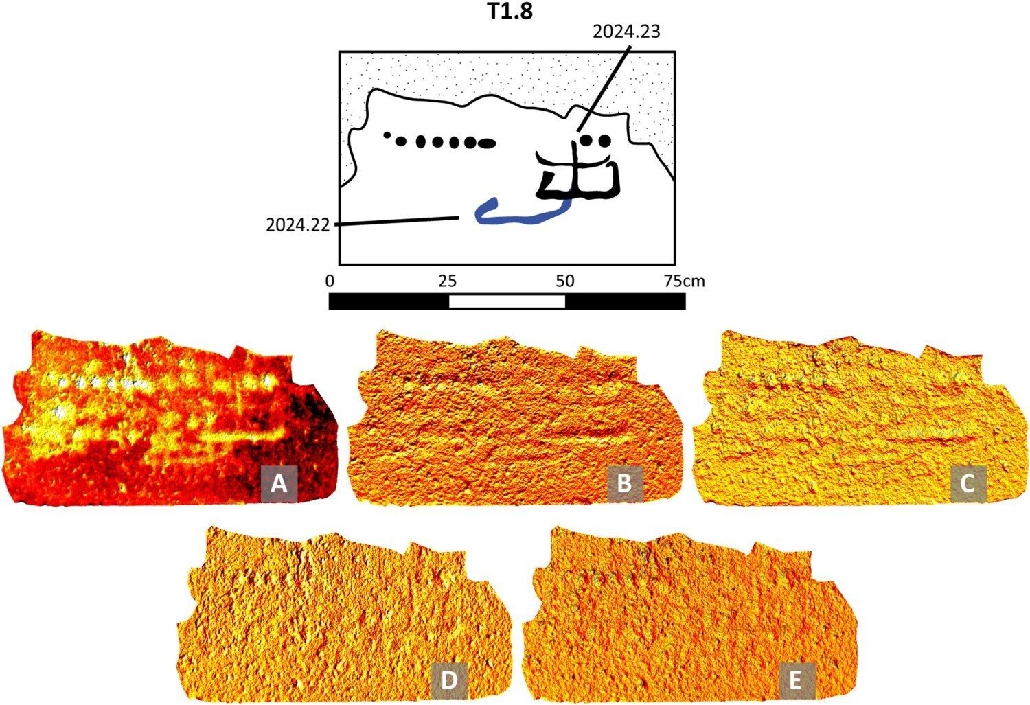 Illustration of the ship carvings on a single temple block with different laser scans. Credit: Braun et al. 2026