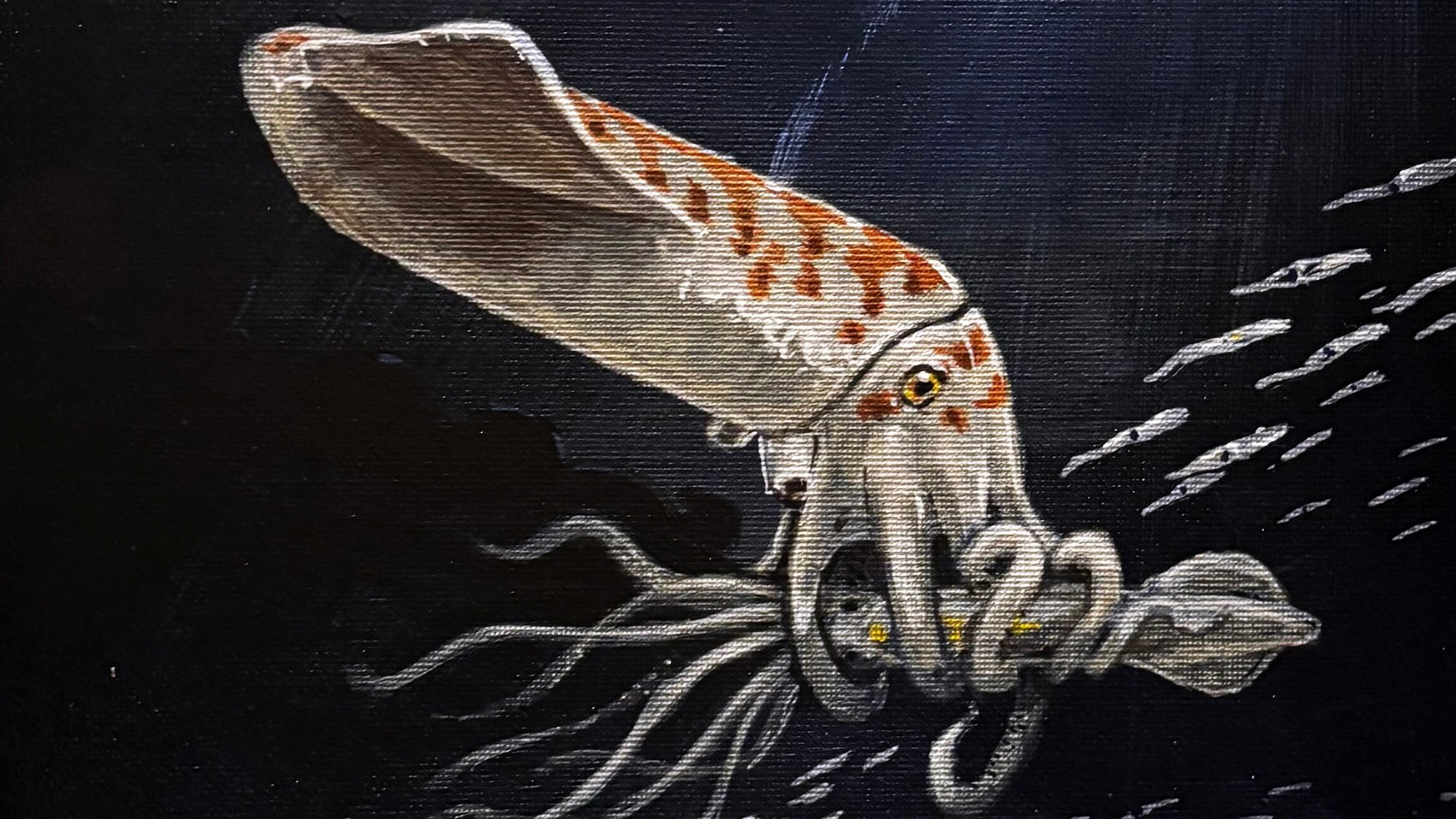 Painting of Wyoteuthis linsterorum, an ancient squid relative, as it eats a fellow cephalopod