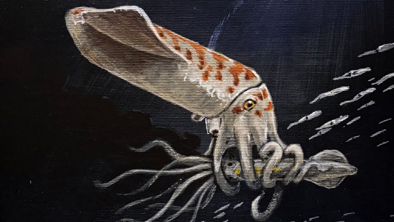 Painting of Wyoteuthis linsterorum, an ancient squid relative, as it eats a fellow cephalopod