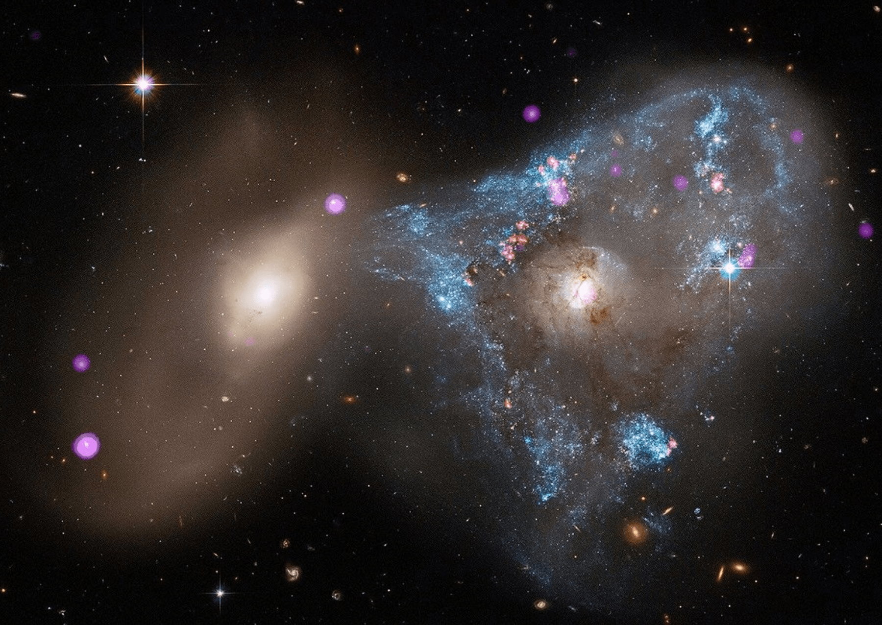 This ring galaxy system formed when a smaller companion galaxy punched straight through its center like a bullseye, creating a powerful cosmic shockwave. Chandra X-rays (purple) uncover bright X-ray binary systems scattered along the collision shock wave, laid over Hubble’s optical image (blue and white) of expanding stellar rings. Such head-on collisions can trigger vast ripple effects, sparking huge waves of star birth across entire galaxies. Image: X-ray: NASA/CXC/SAO; Optical: NASA/ESA/STScI/J. Dalcanton; Image Processing: NASA/CXC/SAO/L. Frattare.