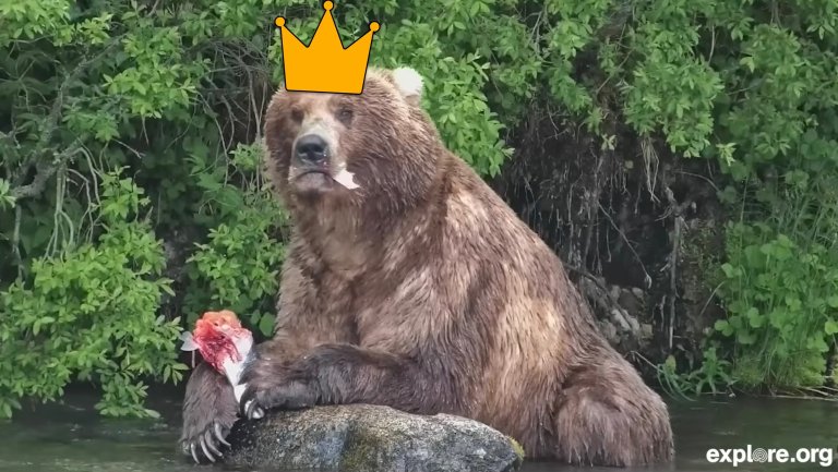 a bear sitting eating a salmon with a crown on its head