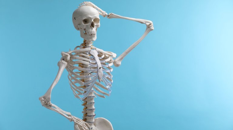 Artificial human skeleton model on light blue background, space for text