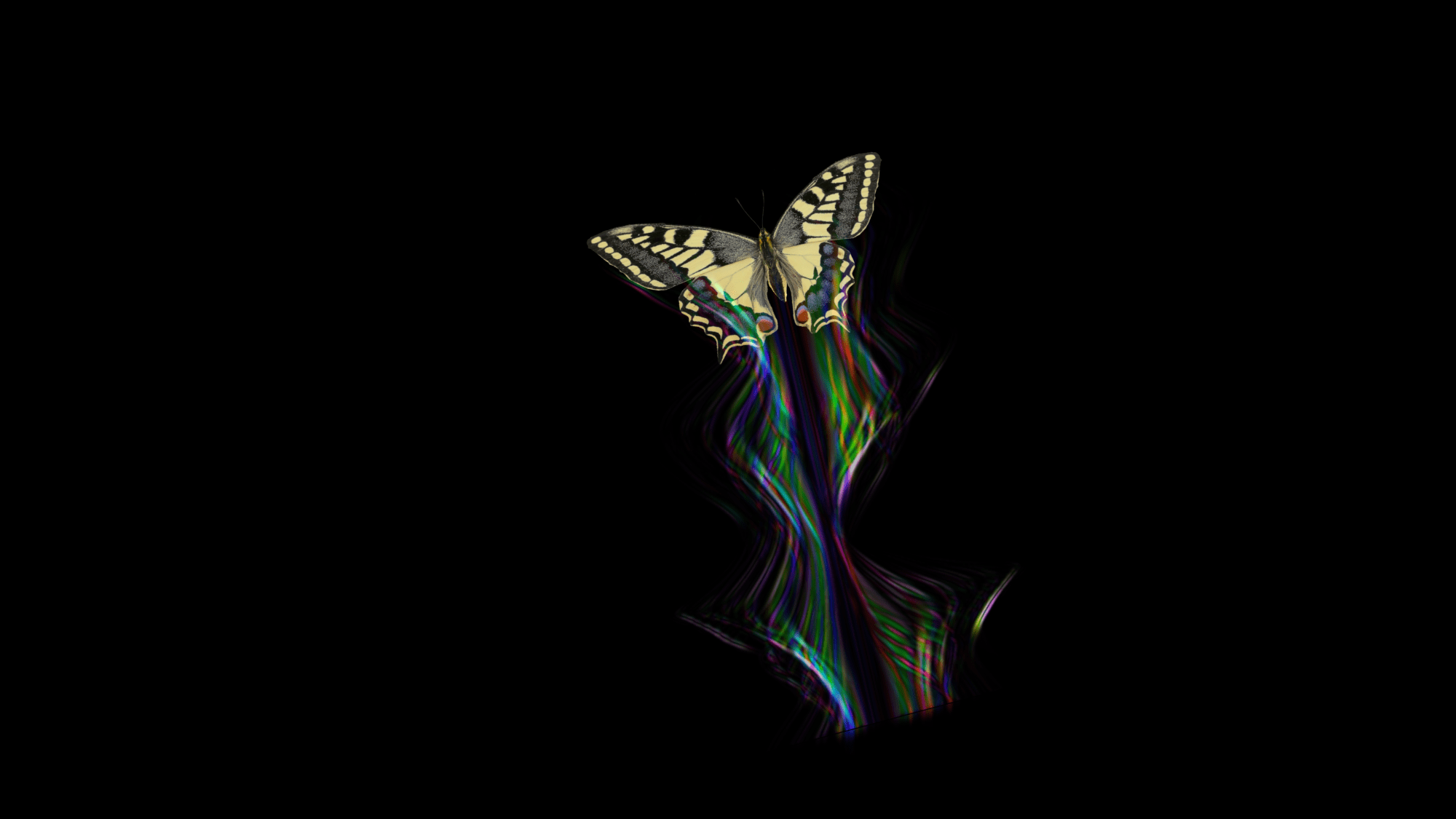 a butterfly wing with rainbow lights following it