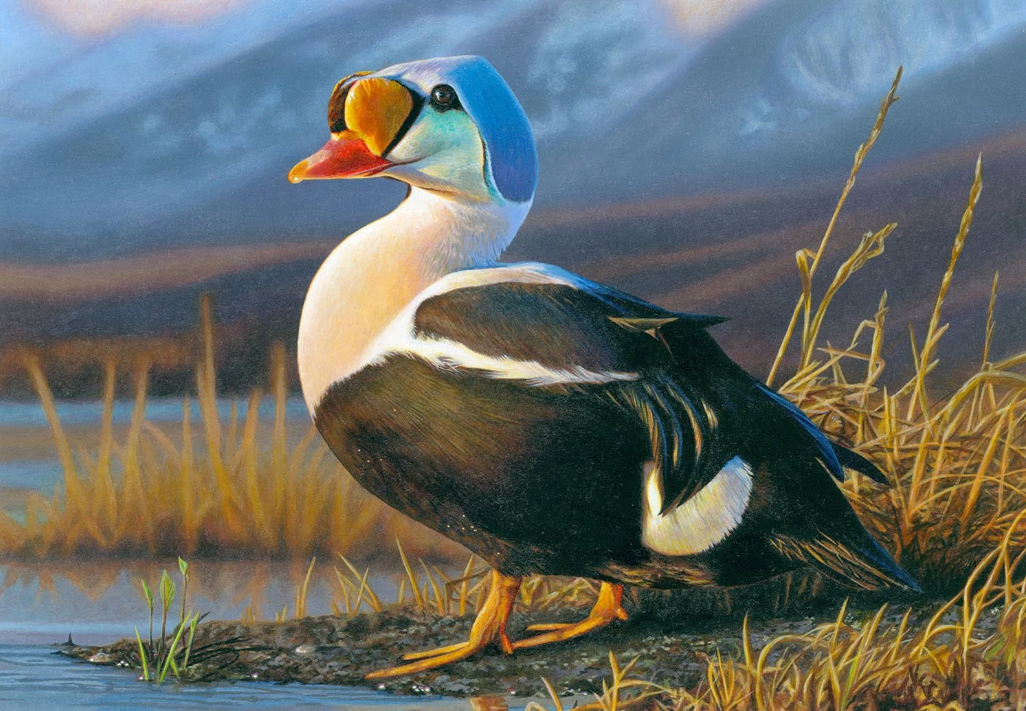 a painting of a duck with an orange bill and blue head feathers standing on the edge of a lake with mountains in the background