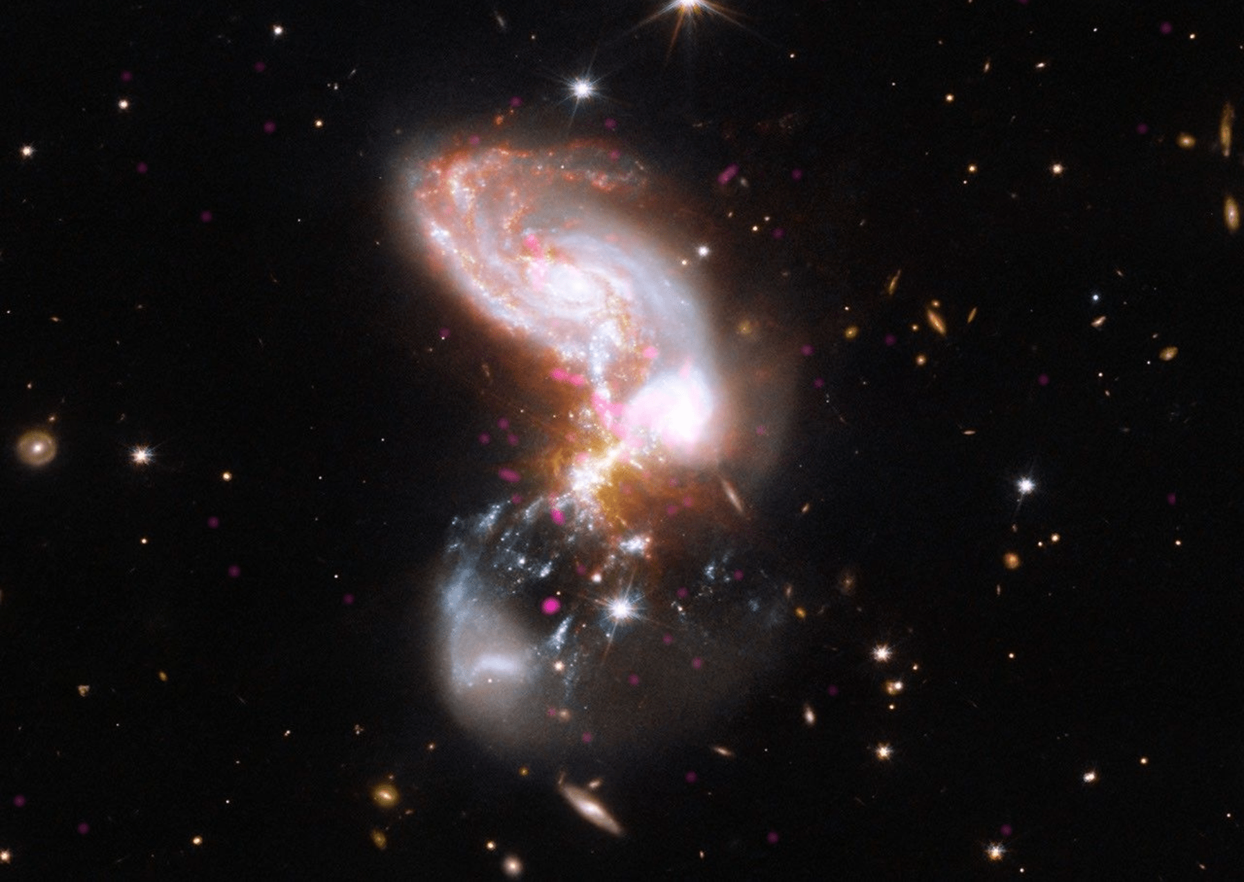 A chaotic, dust-shrouded system of merging galaxies forming stars at a furious rate. Chandra X-ray data (magenta) pinpoint powerful black hole activity and hot gas, while Hubble optical (blue and white) and Webb infrared (red and grey) data illuminate vast stellar nurseries hidden behind interstellar dust. Systems like II Zw 096 show us how powerful galaxy collisions shaped the early universe. Image: X-ray: NASA/CXC/SAO; Optical: NASA/ESA/STScI; Infrared: NASA/ESA/CSA/STScI; Image Processing: NASA/CXC/SAO/L. Frattare and J. Major.