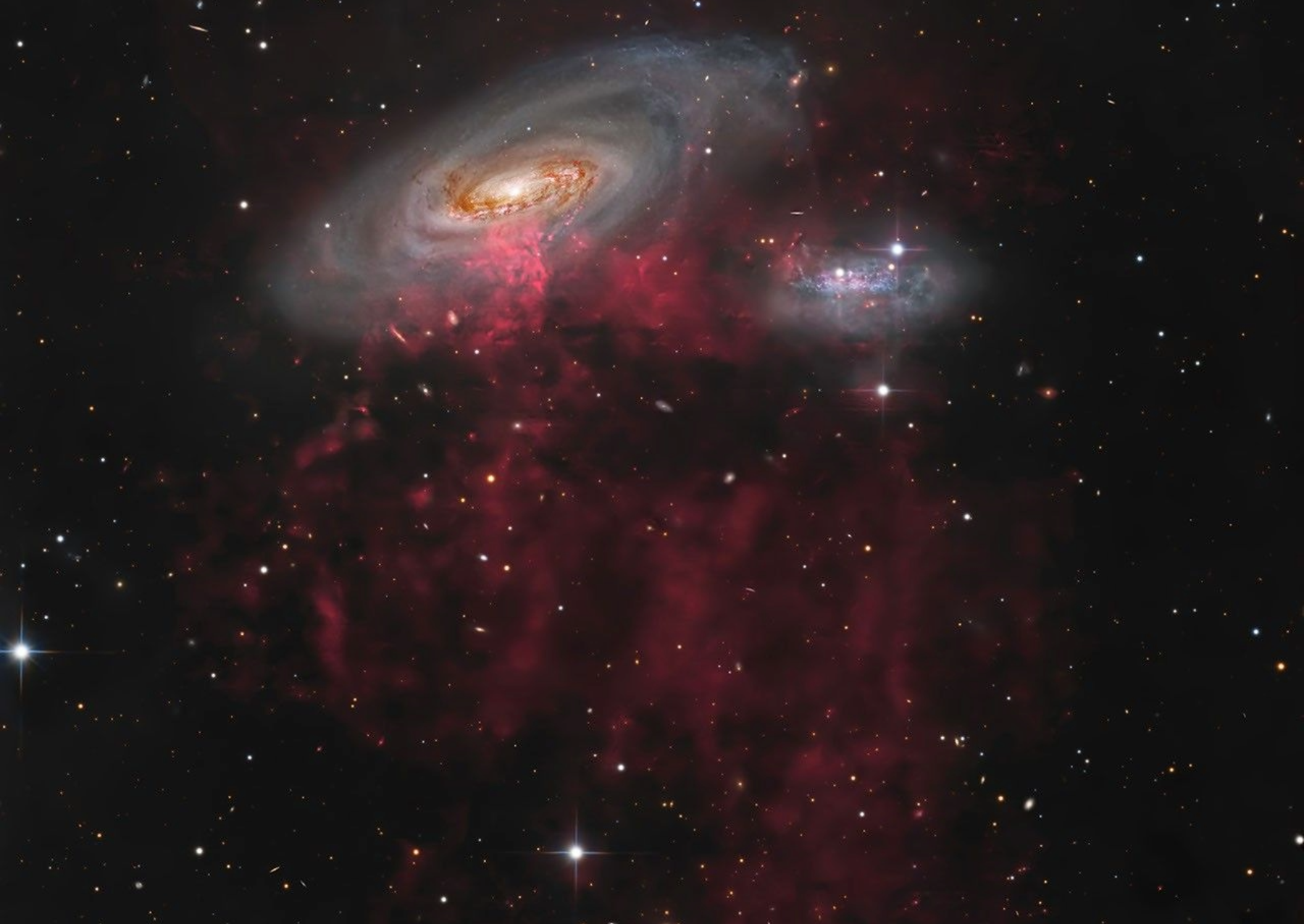 A large spiral galaxy that is being stripped of its gas as it plunges at high speed through hot gas in the Virgo Cluster of galaxies. Chandra’s X-ray data (magenta) pinpoints high-energy point sources—such as X-ray binaries and supernova remnants—and diffuse hot gas nestled within the spiral disk imaged by Hubble (blue, brown and gold). A ground-based optical light image taken from New Mexico by Timothy Martin reveals red filaments of hydrogen gas streaming over 300,000 light-years behind the galaxy as it falls into the Virgo Cluster. Image: Accidental Astronomers. X-ray: NASA/CXC/SAO; Optical: NASA/ESA/D. Thilker/J. Lee/PHANGS-HST Team; Full-field: Tim Martin; Image Processing: NASA/CXC/SAO/L. Frattare.