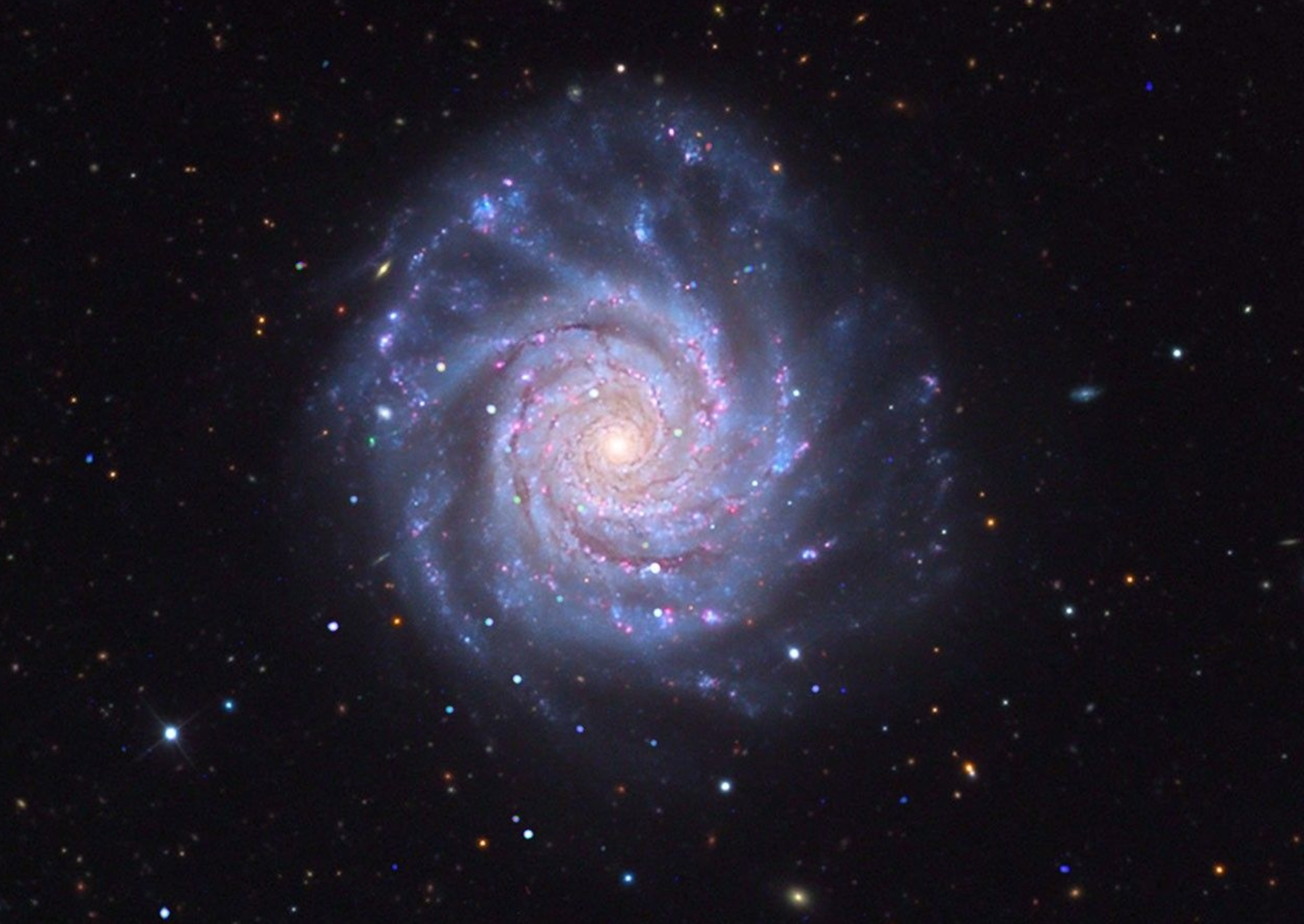 A face-on spiral galaxy whose orientation gives us an unobstructed view of its disk. X-ray emissions from Chandra (magenta) detail energetic X-ray binaries and supernova remnants scattered across dust lanes in an optical image (white, blue and gold) from Adam Block with Mt. Lemmon Observatory. Face-on orientations are important for galactic studies because they provide the most unobstructed views of a galaxy’s stars and gas. Image: X-ray: NASA/CXC/SAO; Optical: Adam Block/Mount Lemmon SkyCenter/University of Arizona; Image Processing: NASA/CXC/SAO/L. Frattare.