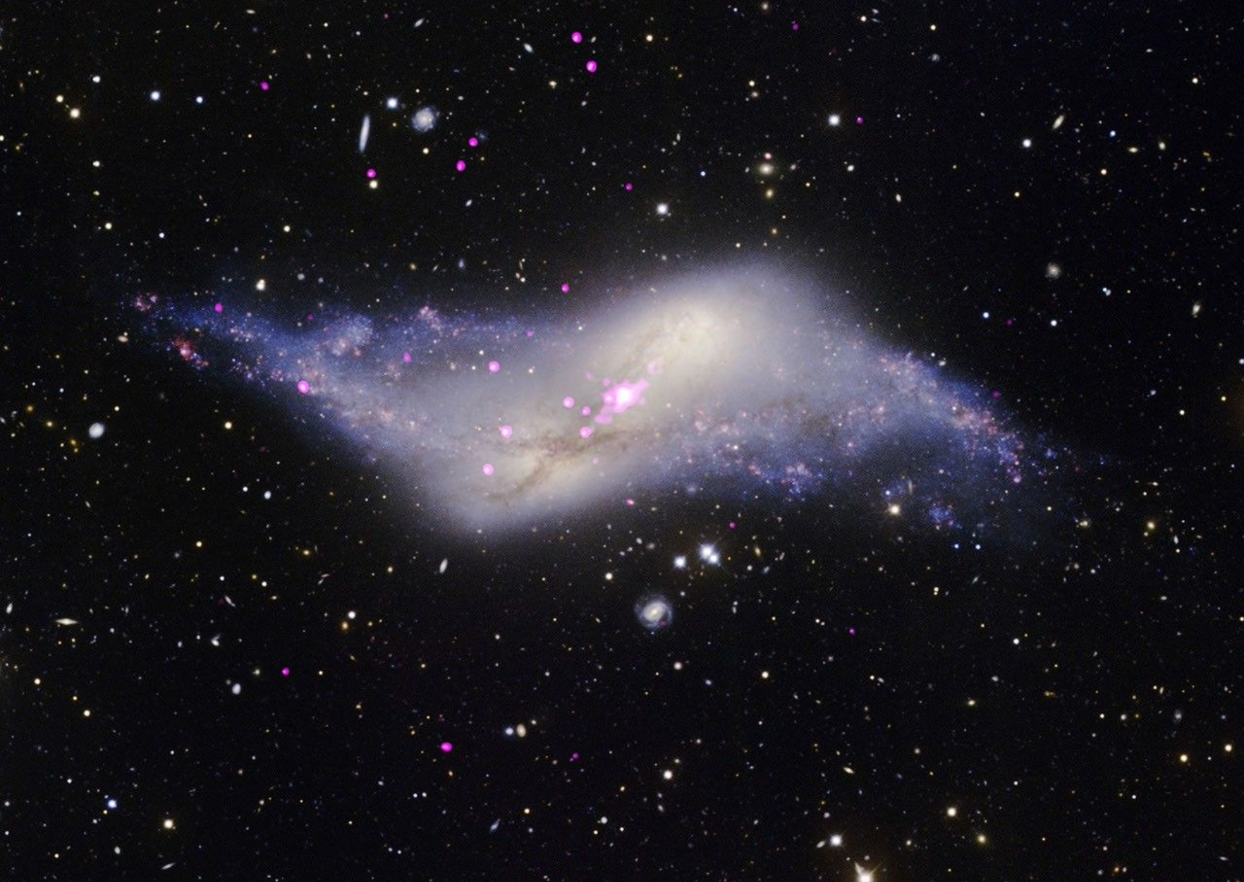 A rare "polar ring" galaxy where a tilted outer ring of stars and dust rotates over the galaxy's poles, an unusual structure likely caused by a collision with another galaxy about a billion years ago. Chandra’s X-rays (purple) reveal a possible growing supermassive black hole in the center of the galaxy, plus X-ray binaries nestled within the stars and dust captured by the Gemini Observatory in optical light (gold, blue and white). Studying polar rings teaches us about the diverse effects of stellar collisions on the shapes of galaxies. Image: X-ray: NASA/CXC/SAO; Optical:NSF/International Gemini Observatory/AURA; Image Processing: NASA/CXC/SAO/L. Frattare.