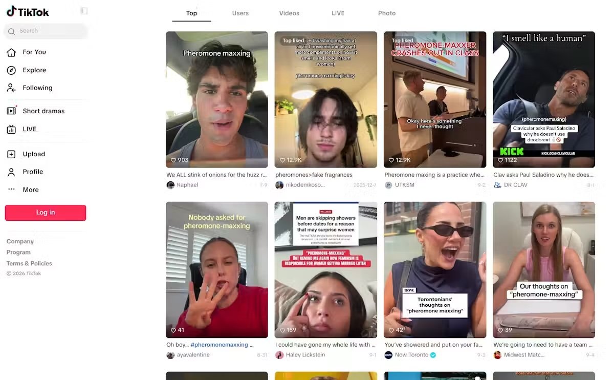 screenshot of phermone maxxing videos on tiktok