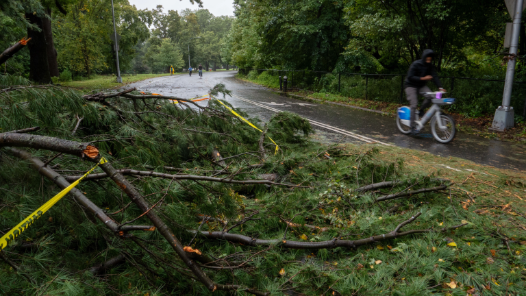 A downed tree blocks part of a roadway in Brooklyn's Prospect Park after a nor'easter storm swept through the area over the weekend on September 28, 2026. The storm brought high winds, rain, and flooding to coastal communities across New York City and much of the Northeast.