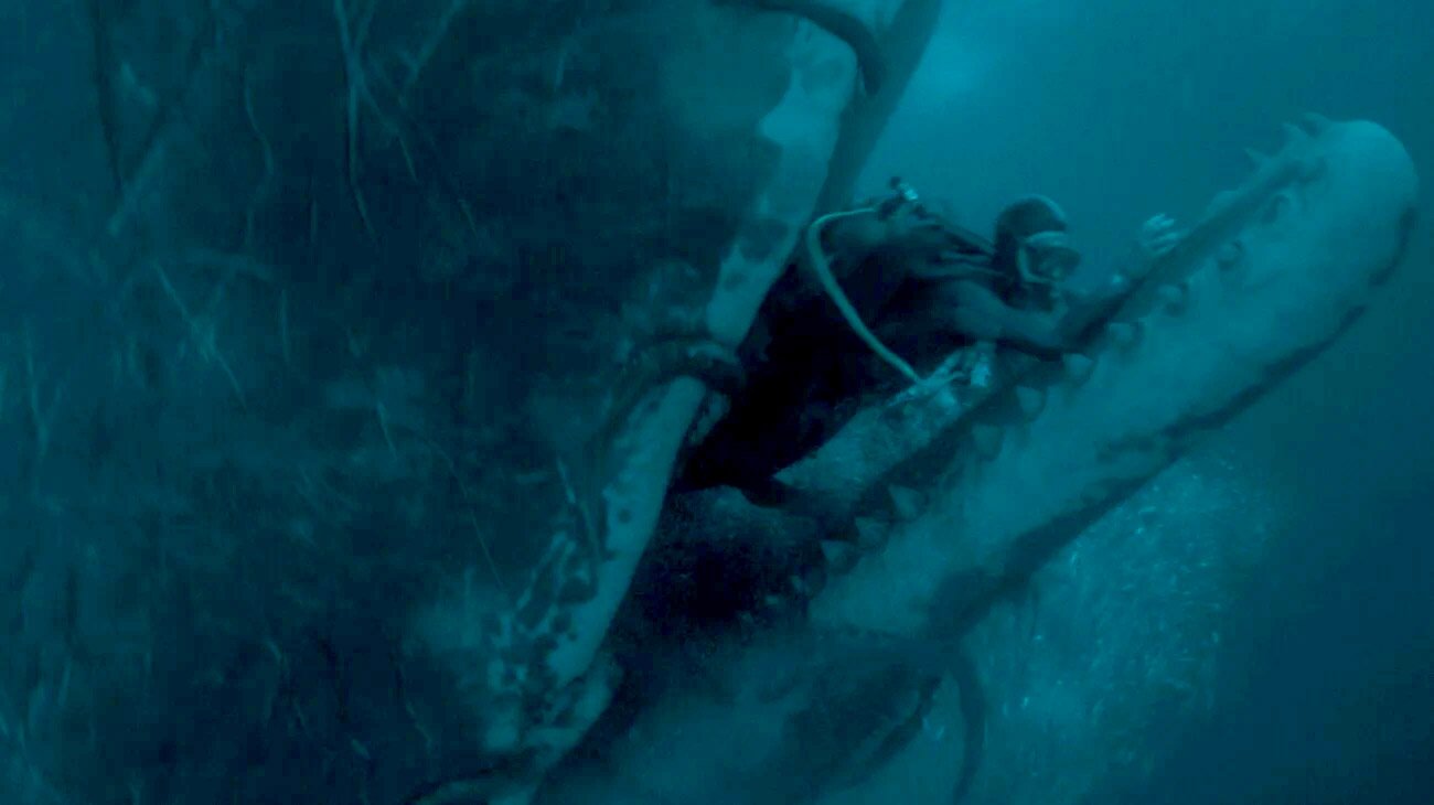 a sperm whale with a diver in its mouth