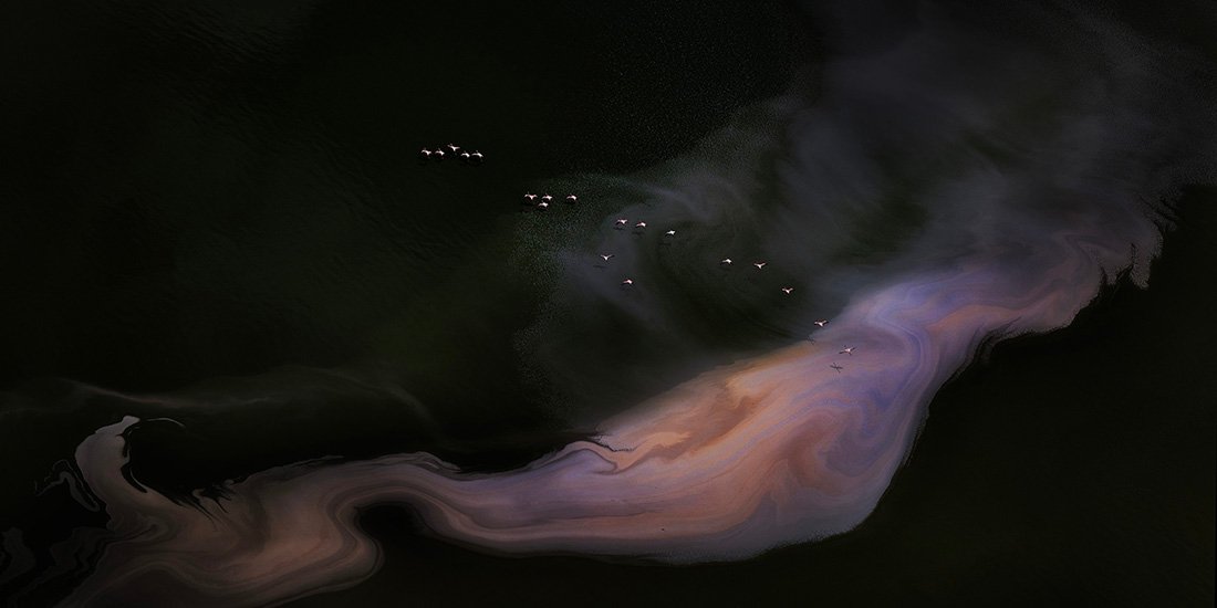 birds fly above pink-ish waterway