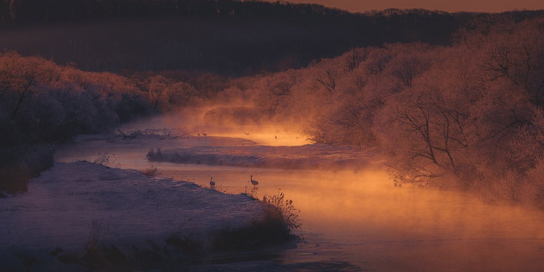 mist settles on waterway as birds stand