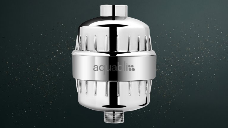 Silver Aquabliss SF100 Daily Revitalize Shower Filter against a green speckled practical gift guide background