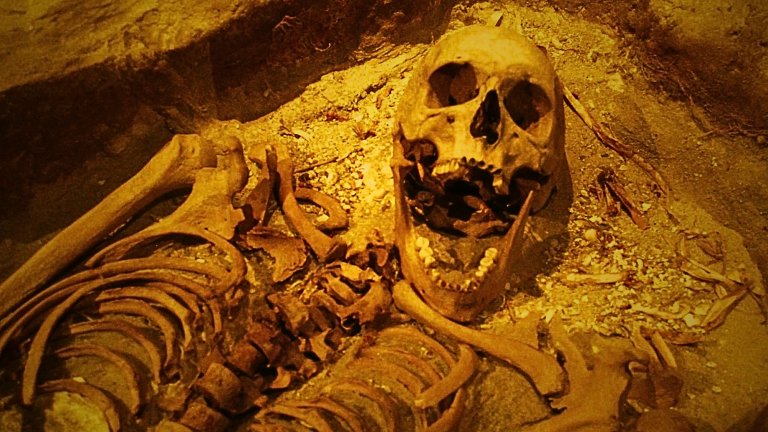 Batavia victim skeleton in museum