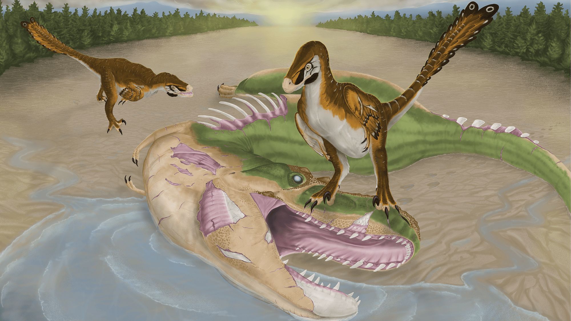 Artwork depicting feathered raptors scavenging a dead Albertosaurus