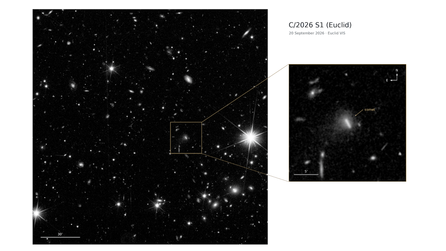 A black-and-white Euclid image shows a sky field filled with bright points and faint fuzzy light sources on a dark background. A boxed region is enlarged in an inset, where comet C/2026 S1 (Euclid) is marked by an arrow. The comet appears as a bright elongated streak surrounded by a diffuse cloud of light. Lines connect the inset to the comet’s location in the wider image.