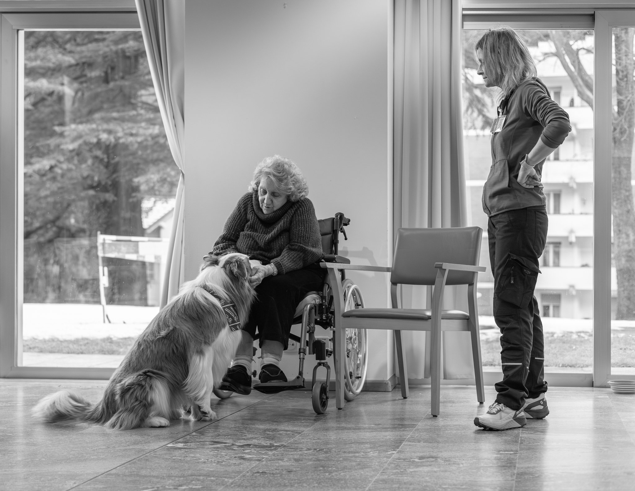 a long-haired dog provides comfort to an elderly woman in a wheelchair