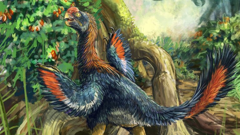 Artist's illustration of I. jamesi, aka a 'hell chicken.' It's a feathered dinosaur that looks like large parrot