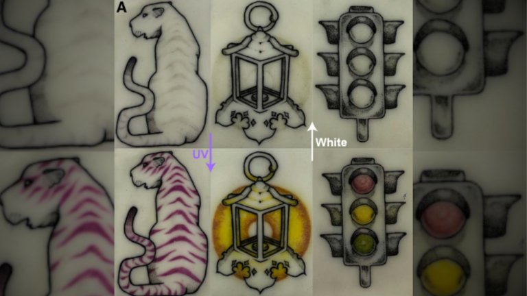 Transitional tattoos of a tiger, lamp, and stoplight seen before and after exposure to UV light. The tattoos become colorful after exposure