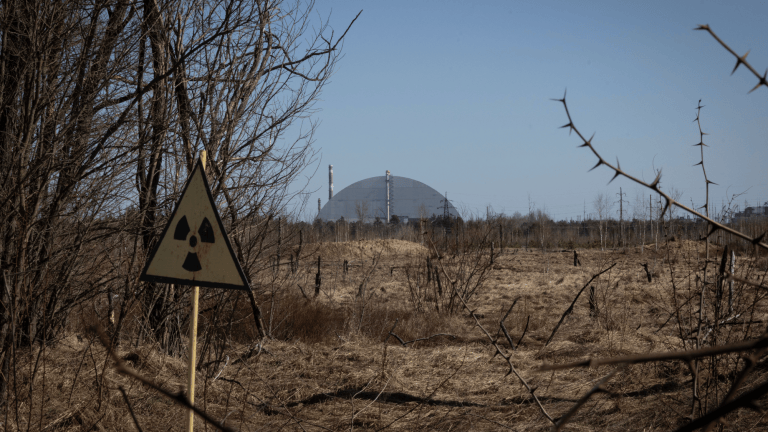 a radioactive sign in a desolate forest