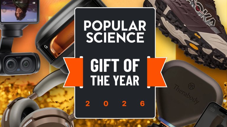 Gift of the Year header