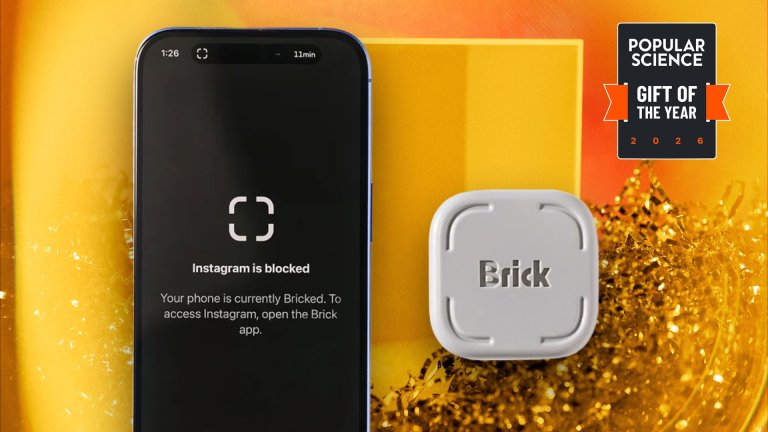 Brick with a phone that has Instagram blocked